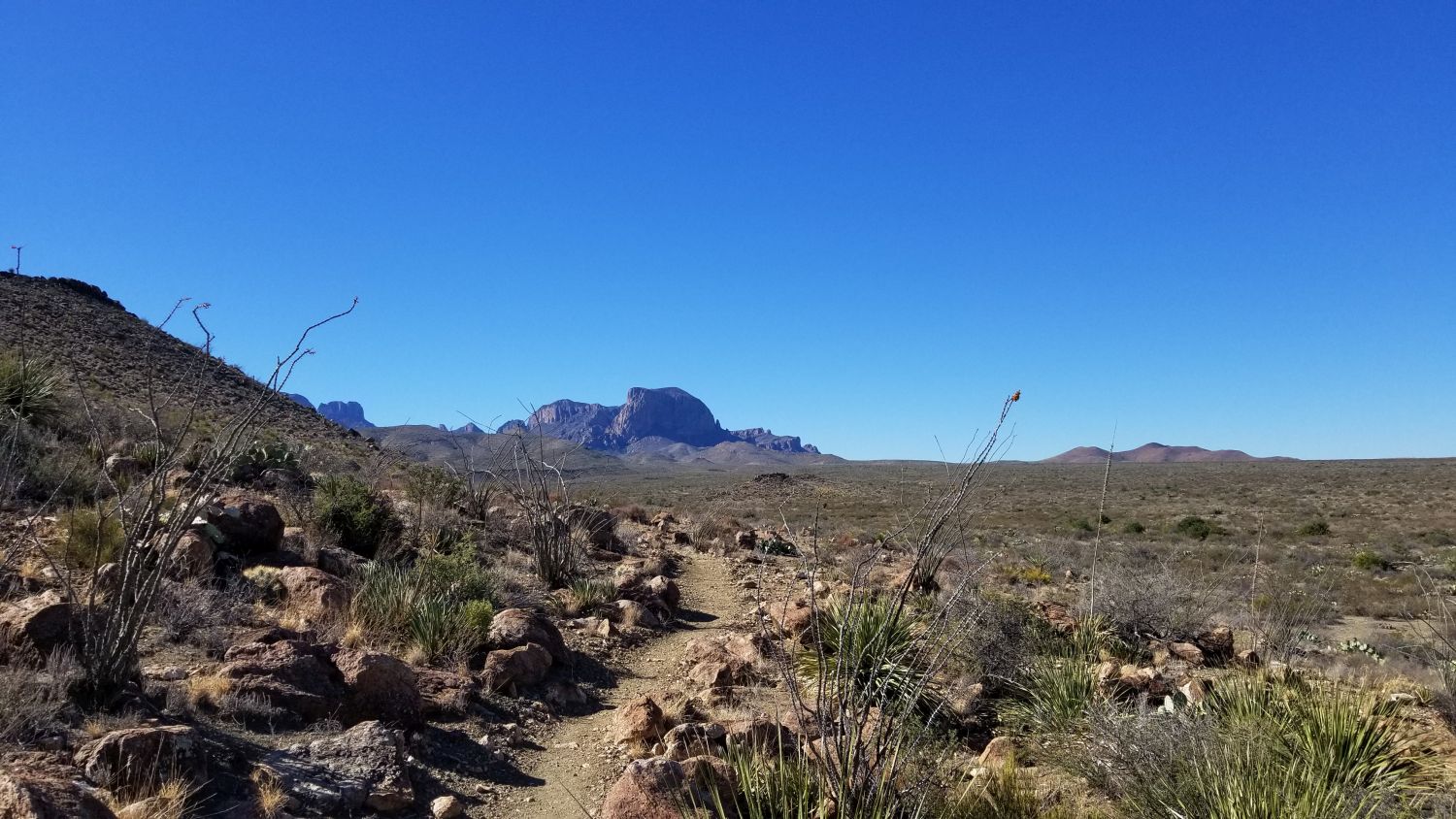 Lone Mountain Hike 